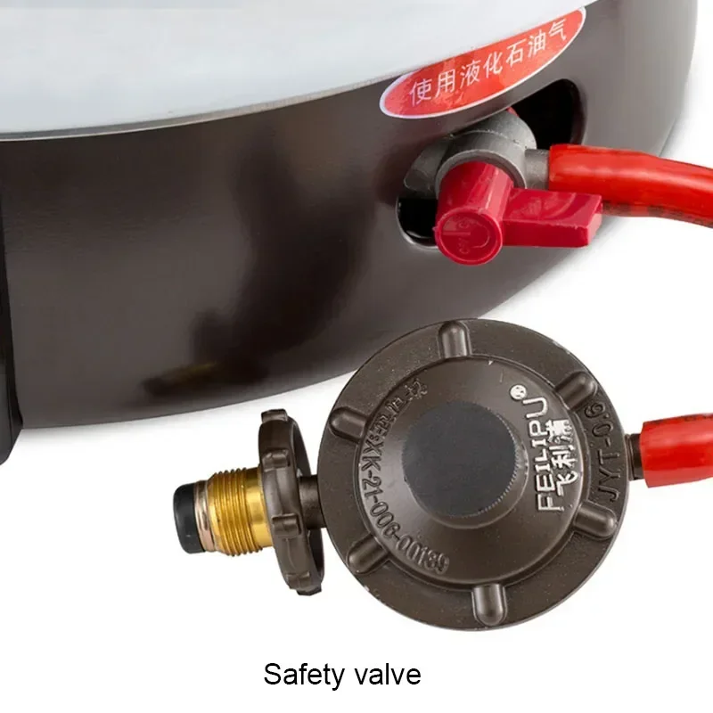 7L Propane Rice Cooking Machin - Baby Food Natural review and price
